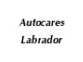 Autocares Labrador
