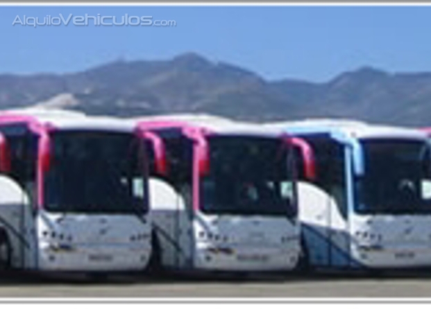 Flota de buses