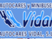 Autocares Y Minibuses Vidal