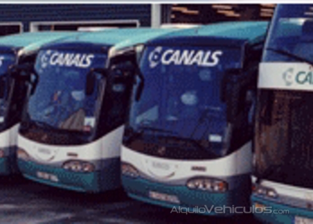 Flota de buses