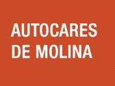 Autocares De Molina